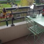 Furnished balcony with table, chairs and plants in a Lyon host family apartment.